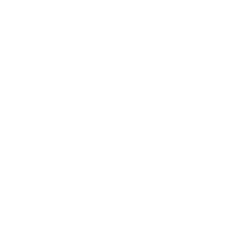 Made in Town
